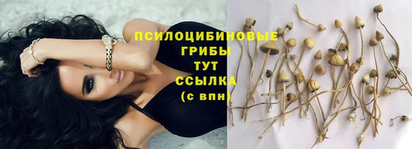 соль курить ск Верхний Тагил