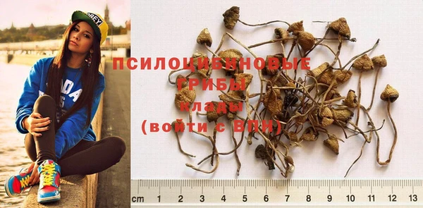 спиды Новый Уренгой